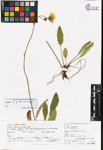 SW_BNB_s3070-06112_IMG-0000000001