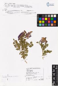 SW_BNB_s3070-06114_IMG-0000000001