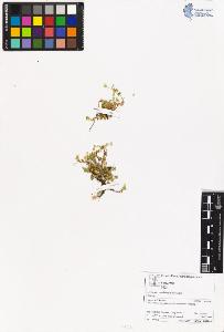 SW_BNB_s3070-06115_IMG-0000000001