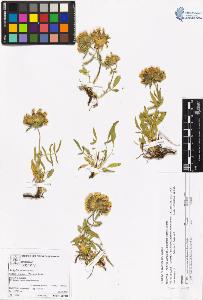 SW_BNB_s3070-06116_IMG-0000000001
