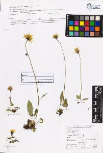 SW_BNB_s3070-06118_IMG-0000000001