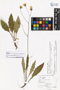 SW_BNB_s3070-06128_IMG-0000000001