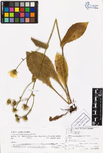 SW_BNB_s3070-06129_IMG-0000000001