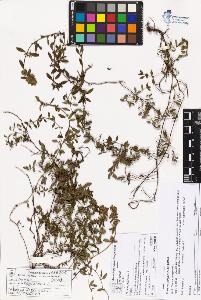 SW_BNB_s3070-06130_IMG-0000000001