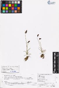 SW_BNB_s3070-06134_IMG-0000000001