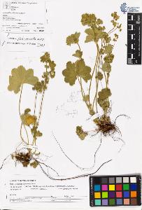 SW_BNB_s3070-06135_IMG-0000000001