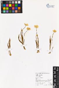 SW_BNB_s3070-06137_IMG-0000000001