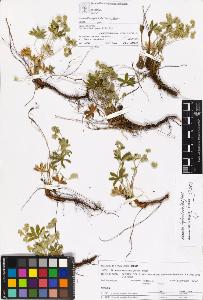 SW_BNB_s3070-06139_IMG-0000000001