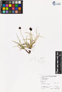 SW_BNB_s3070-06143_IMG-0000000001