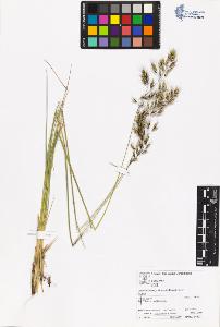 SW_BNB_s3070-06145_IMG-0000000001