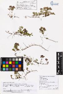 SW_BNB_s3070-06153_IMG-0000000001