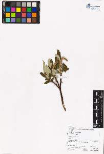 SW_BNB_s3070-06158_IMG-0000000001