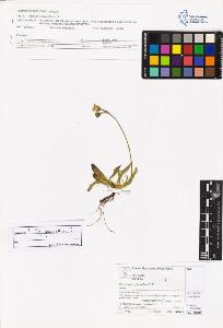 SW_BNB_s3070-06168_IMG-0000000001
