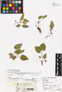 SW_BNB_s3070-06176_IMG-0000000001