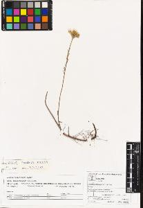 SW_BNB_s3070-06183_IMG-0000000001
