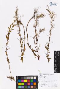 SW_BNB_s3070-06186_IMG-0000000001