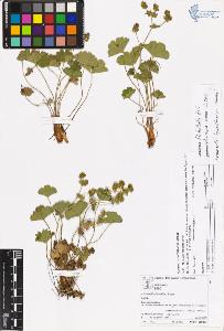 SW_BNB_s3070-06190_IMG-0000000001