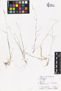 SW_BNB_s3070-06192_IMG-0000000001