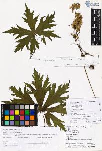 SW_BNB_s3070-06193_IMG-0000000001