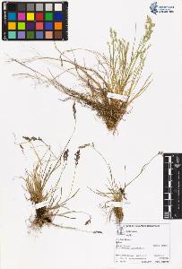 SW_BNB_s3070-06197_IMG-0000000001