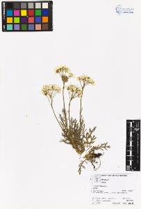 SW_BNB_s3070-06199_IMG-0000000001