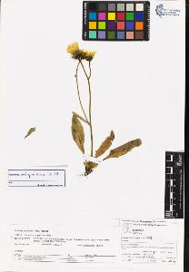 SW_BNB_s3070-06202_IMG-0000000001