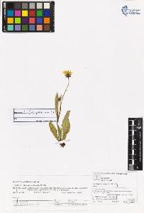 SW_BNB_s3070-06203_IMG-0000000001