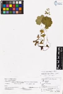 SW_BNB_s3070-06204_IMG-0000000001