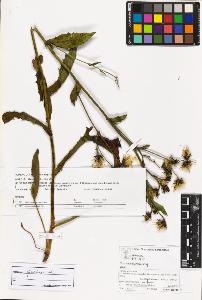 SW_BNB_s3070-06206_IMG-0000000001