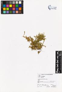 SW_BNB_s3070-06211_IMG-0000000001