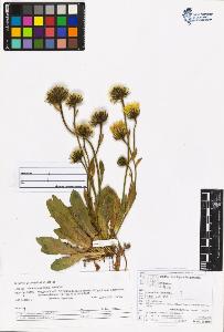 SW_BNB_s3070-06215_IMG-0000000001