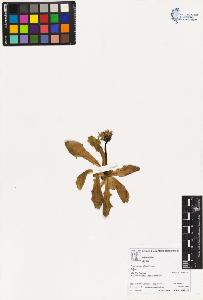 SW_BNB_s3070-06216_IMG-0000000001