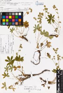 SW_BNB_s3070-06228_IMG-0000000001