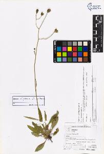 SW_BNB_s3070-06229_IMG-0000000001