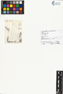 SW_BNB_s3070-06230_IMG-0000000001