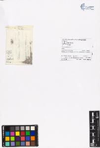 SW_BNB_s3070-06232_IMG-0000000001