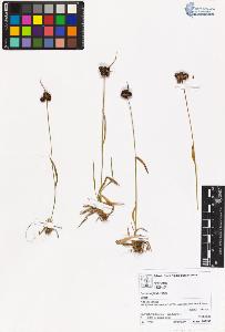 SW_BNB_s3070-06234_IMG-0000000001