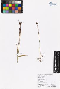 SW_BNB_s3070-06235_IMG-0000000001