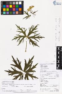 SW_BNB_s3070-06236_IMG-0000000001