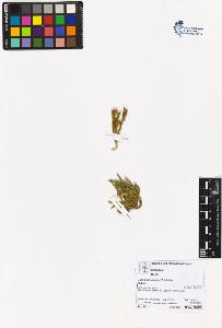 SW_BNB_s3070-06258_IMG-0000000001