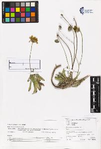 SW_BNB_s3070-06261_IMG-0000000001