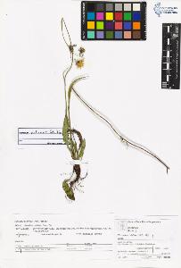 SW_BNB_s3070-06262_IMG-0000000001
