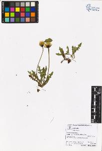 SW_BNB_s3070-06263_IMG-0000000001