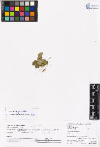 SW_BNB_s3070-06264_IMG-0000000001