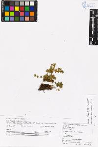 SW_BNB_s3070-06268_IMG-0000000001