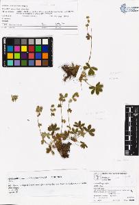 SW_BNB_s3070-06270_IMG-0000000001