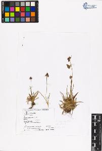 SW_BNB_s3070-06282_IMG-0000000001