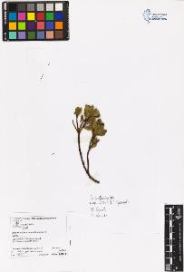 SW_BNB_s3070-06295_IMG-0000000001