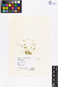 SW_BNB_s3070-06305_IMG-0000000001