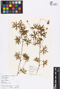 SW_BNB_s3070-06309_IMG-0000000001